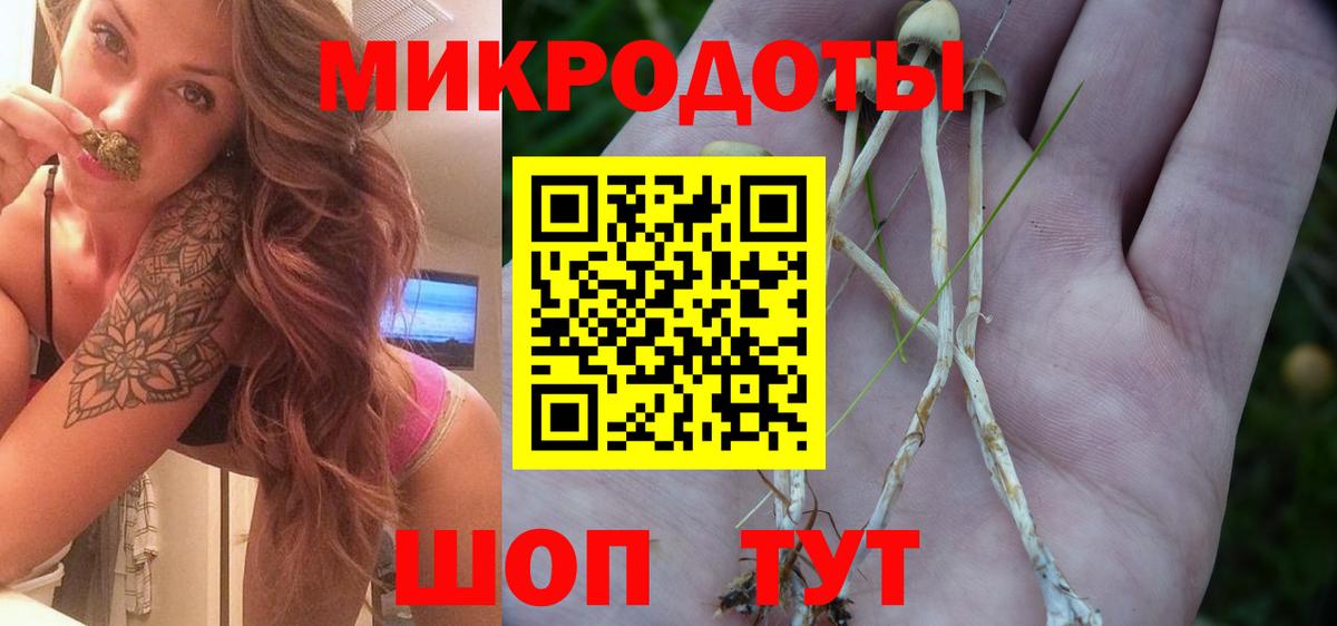 Галлюциногенные грибы прущие грибы  Вход с VPN  Сергиев Посад 